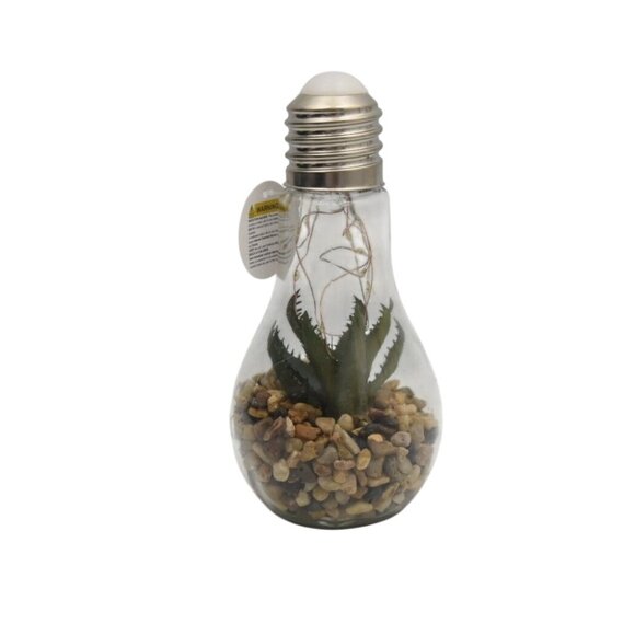 Faux Succulent LED Light Up Light Bulb Terrarium Home Decor Cheerful CHD798 NEW - Picture 2 of 6